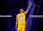 PG世界杯2026-德甲争冠战之夜，京多安大场面先生